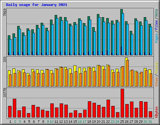 Daily usage for January 2021