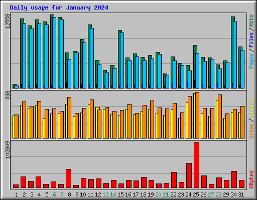 Daily usage for January 2024