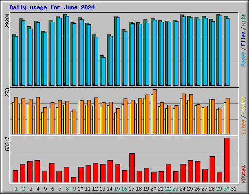 Daily usage for June 2024