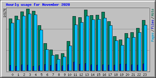 Hourly usage for November 2020