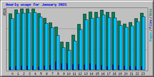 Hourly usage for January 2021