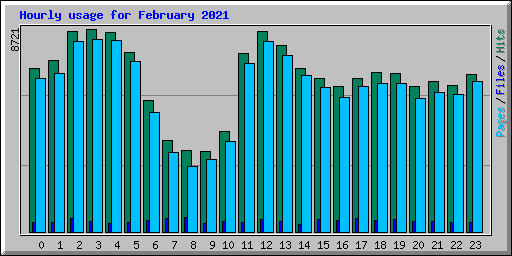 Hourly usage for February 2021