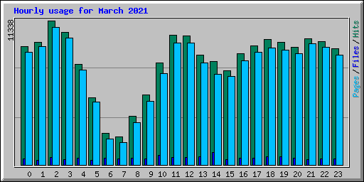 Hourly usage for March 2021