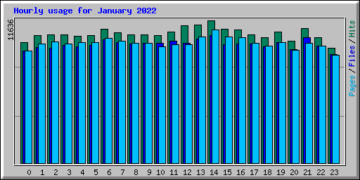 Hourly usage for January 2022