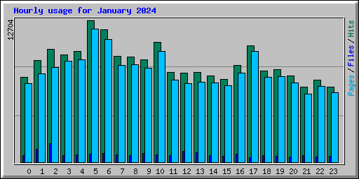 Hourly usage for January 2024