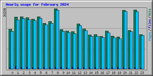 Hourly usage for February 2024