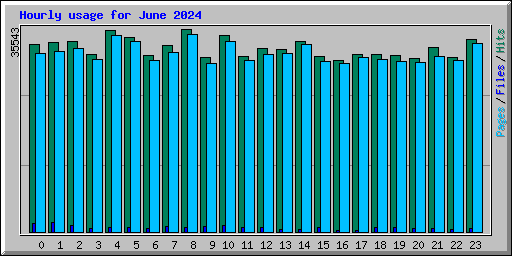 Hourly usage for June 2024