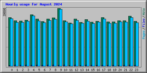 Hourly usage for August 2024