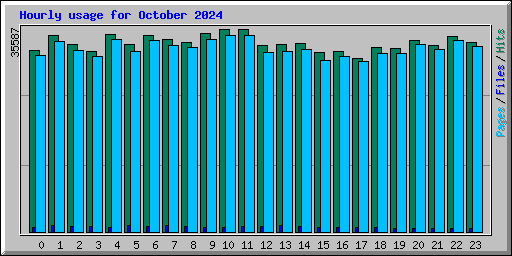 Hourly usage for October 2024