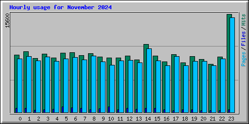 Hourly usage for November 2024