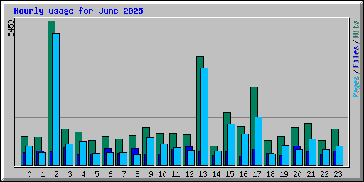 Hourly usage for June 2025
