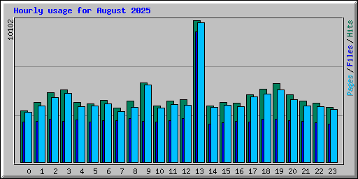 Hourly usage for August 2025