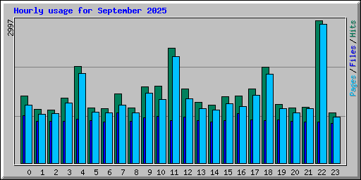 Hourly usage for September 2025